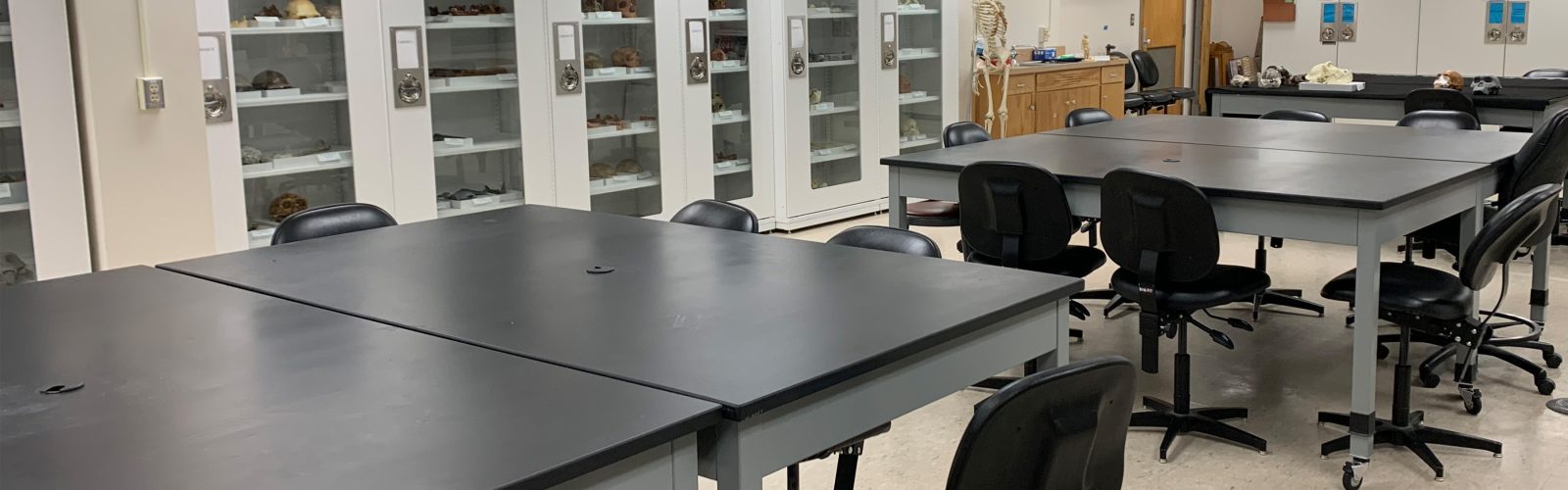 a classroom with tables, chairs and museum collection cabinets.